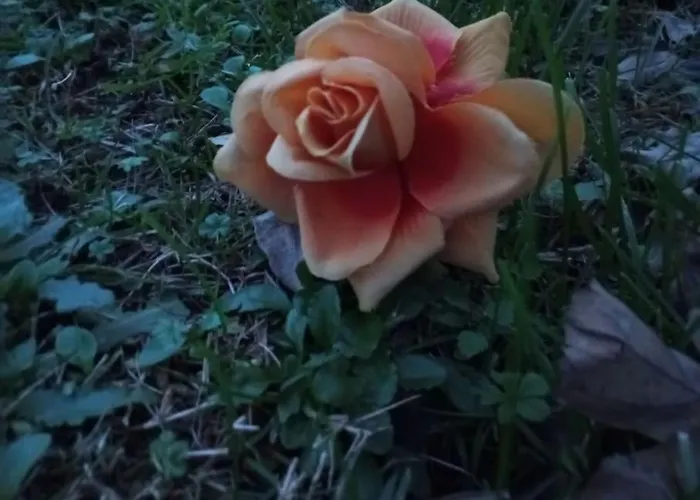 House Na Te Villa Riccò del Golfo di Spezia